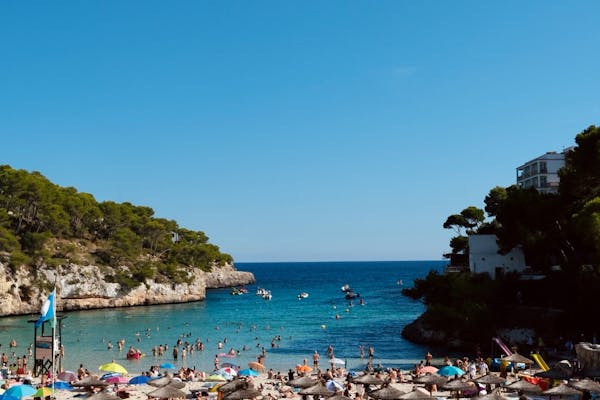 oferte pentru familii