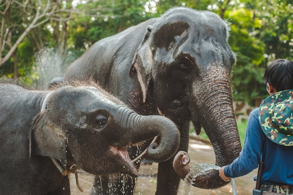 vacanta in Thailanda
